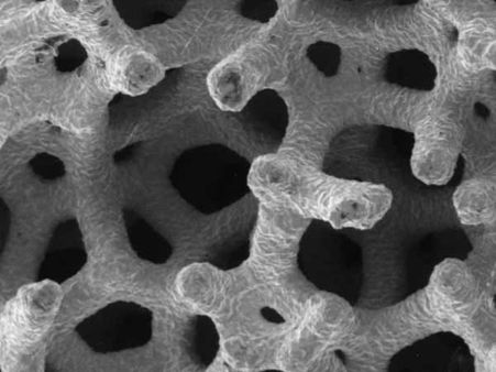 எப்படி தயாராகிரது ஸ்டெம் செல்...?