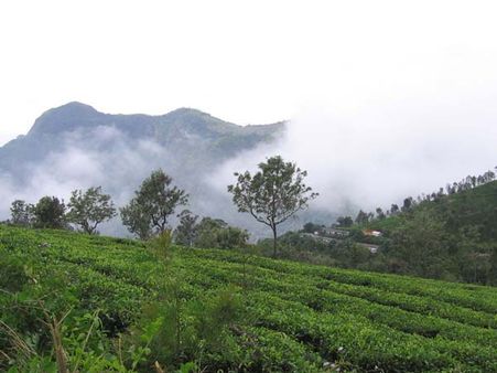 ஊட்டி: பகலிலும் ‘அடிக்குது குளிரு’... அறைகளில் அடைபட்ட சுற்றுலாப் பயணிகள்