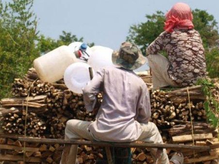 கம்போடியாவைக் கலக்கும் ‘மூங்கில் ரயில்’ பயணம்....