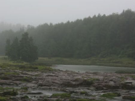 நீலகிரியில் கனமழை: மலை ரயில் நிறுத்தம்… பள்ளி, கல்லூரிகளுக்கு இன்று விடுமுறை