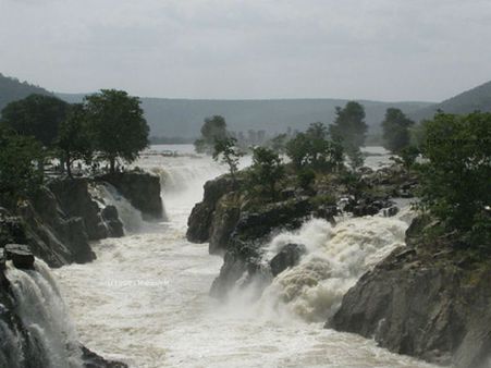 ஆர்ப்பரித்து ஆடி வரும் ஓடி வரும் காவிரி... ஓகனேக்கல்லில் சீறிப் பாயும் நீரால் மக்கள் மகிழ்ச்சி