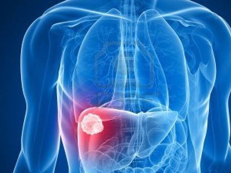 கல்லீரல் நோய்களுக்கு கவலையில்லை… மனித ஸ்டெம்செல்லில் கல்லீரல் உருவாக்கி சாதனை!