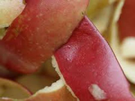 ஆப்பிள், தக்காளி தோலை தூக்கி போட்றாதீங்க...: வாட்டர் பில்டரா பயன்படுத்தலாம்!