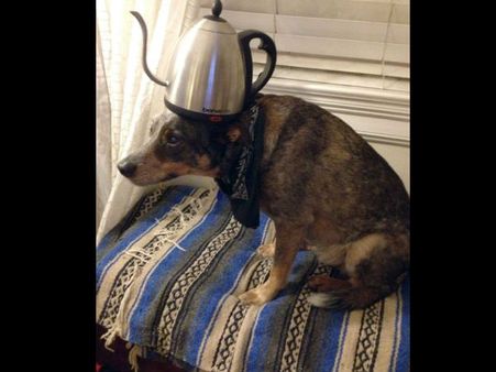 தலைக்கு மேல ‘ஆயிரம்’ வேலைப்பா... அலுத்துக் கொள்ளும் ‘ஜேக்’