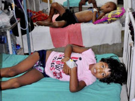 நாங்கள் என்ன சோதனை விலங்குகளா? நாய்க்கு கொடுங்கள் உங்கள் மதிய உணவை... : சீறும் ம.பி ஆசிரியர்கள்