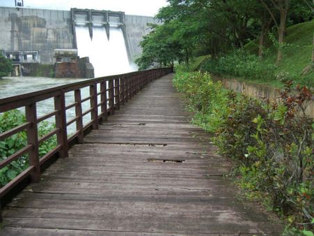 கேரளாவில் கொட்டித் தீர்த்த மழை... நிரம்பியது தென்மலை நீர்த்தேக்கம்