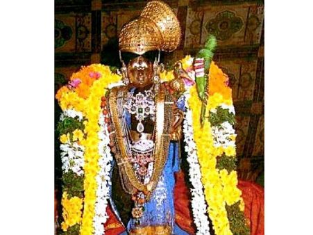 ஆடிப்பூரம் அம்மன் கோவில்களில் குவிந்த பக்தர்கள்: ஸ்ரீவில்லிபுத்தூர் ஆண்டாள் கோவில் தேரோட்டம்