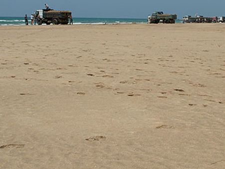 கடற்கரை மணல் செல்வம் கொள்ளை போவதைத் தடுப்பீர்!: வைகோ