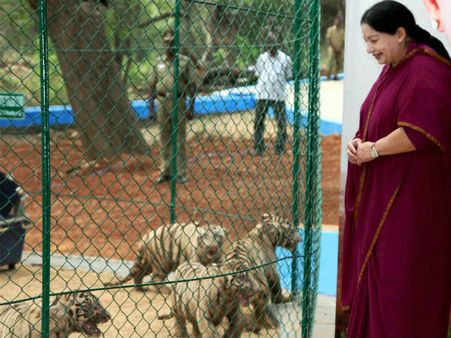 வனவிலங்குகளை பாதுகாக்க ரூ.2.81 கோடி: ஜெயலலிதா ஒதுக்கீடு