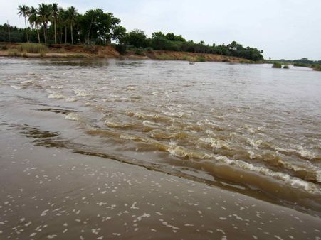 கனமழை: வைகையில் வந்த வெள்ளம்.... விவசாயிகள்... மக்கள் மகிழ்ச்சி