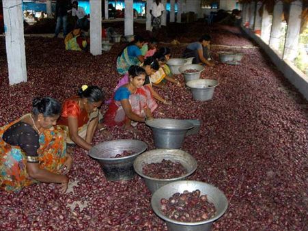 வெங்காயம் திருட்டு: சிசிடிவி வைத்து கண்காணிக்கும் குஜராத் வியாபாரிகள்