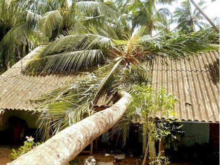 ஆந்திராவை தாக்கியது ஹெலன்.. 7 பேர் பலி- சென்னை, புதுவையில் மழை!!