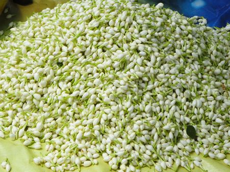 பயணிகள் வசதிக்காக...மதுரை விமான நிலையத்தில் ‘மல்லிகைப் பூ’ விற்பனை