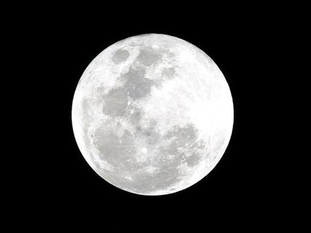 நம்ம பாட்டி வடை சுட்ட நிலாவில்... துளசி, டர்னிப் வளர்க்கும் திட்டத்தில் நாசா