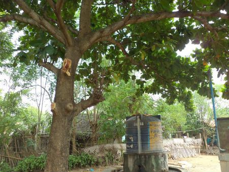 அகதிகள் முகாமில் நடமாடும் பேய்: பீதியில் அலறும் மக்கள்