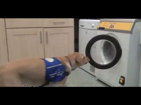 ஊப் டூ வாஷ்: இனி, உங்க டாமியே துணி துவைக்கும்....