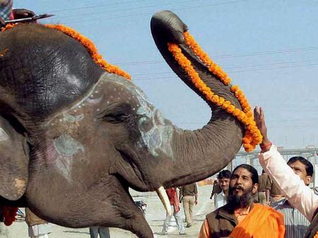 ஜாலியாக விளையாடும் வேதநாயகி, ஹாயாக கிளம்பிய பிரக்ருதி.. கலகல யானைகள் முகாம்!