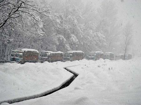 கடும் பனிப்புயல்: அமெரிக்கா, கனடாவில் மின்சாரமின்றி 5 லட்சம் பேர் தவிப்பு - 24 பேர் பலி