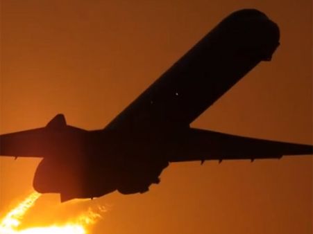 ஜெட்டா மீது பறந்த விமானத்திலிருந்து விழுந்த மனித உடல் உறுப்புகள்!