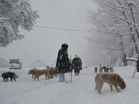 செவ்வாய் கிரகத்தை விட செம குளிரா இருக்காமே அமெரிக்கா.... !