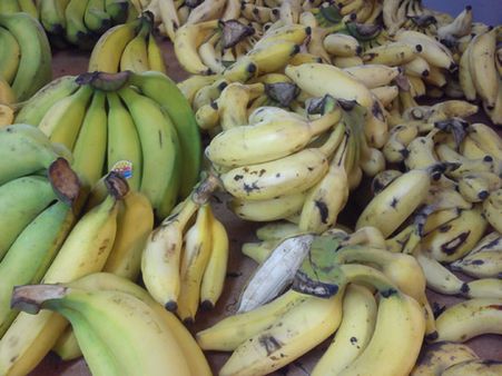 உயர் ரக வாழைப்பழ தார் விலை கடும் சரிவு - விவசாயிகள் கவலை