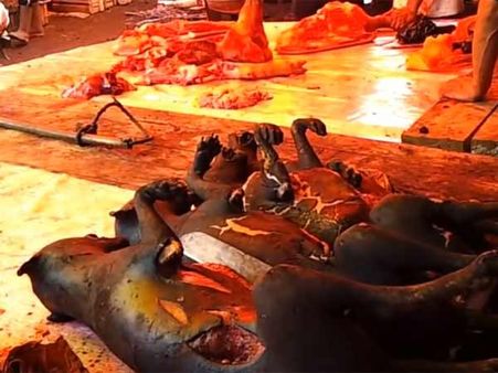 இதப் படிச்சுட்டுப் போய் நீங்க வாந்தி எடுத்தா.. அதுக்கு கம்பெனி பொறுப்பில்லை!