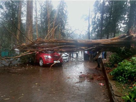 நீலகிரி, திருச்சியில் கனமழை: மின்னல் தாக்கி இருவர் பலி… 20,000 வாழை மரங்கள் சேதம்