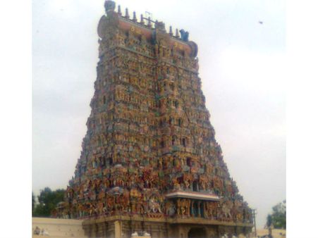 மதுரை மீனாட்சி அம்மன் கோவிலில் சுற்றிய மர்ம நபர்: செல்போனில் தீவிரவாதி அப்சல்குரு போட்டோ