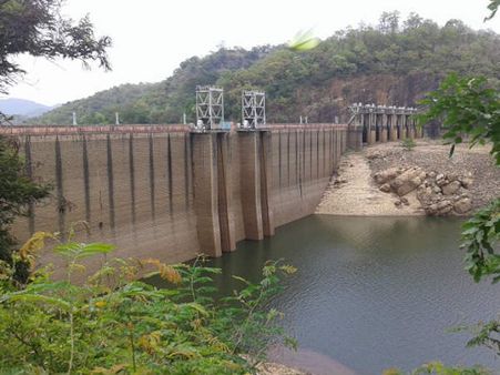 மழை பெய்தும் தண்ணீர் இல்லை: கார் சாகுபடி கவலையில் நெல்லை விவசாயிகள்