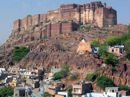 முயற்சி தன் மெய் வருத்தக் கூலி தரும்... பாலைவனத்தை சோலைவனமாக்கிய கிஷன் ஓர் உதாரணம்!