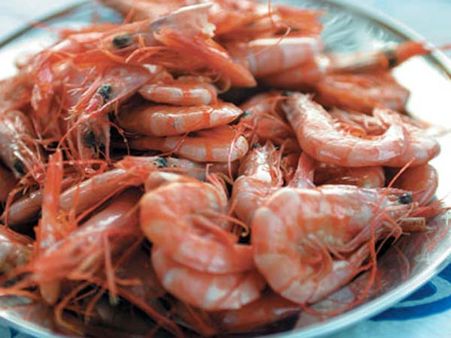 இறாலுக்கு மருந்தாகும் மண்புழுக்கள் – விழுப்புரத்தில் கடும் கிராக்கி