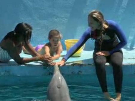 மனவளர்ச்சி பாதித்த, ஆட்டிசம் குழந்தைகளுக்கான புதிய சிகிச்சை முறை... ‘டால்பின் தெரபி’!