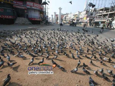 தெலுங்கானா மக்கள் தொகை கணக்கெடுப்பு கலாட்டாக்கள்... படத்தொகுப்பு