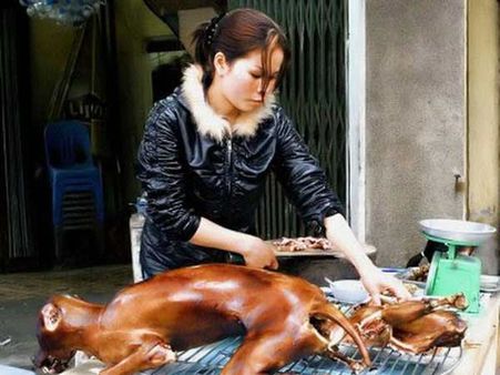 இதுவும் இந்திய உணவே: எறும்பு சட்னி, தவளைக் கால் 65, பன்றி மூளை. சில்லி பட்டுப்புழு, நாய்கறி குழம்பு!