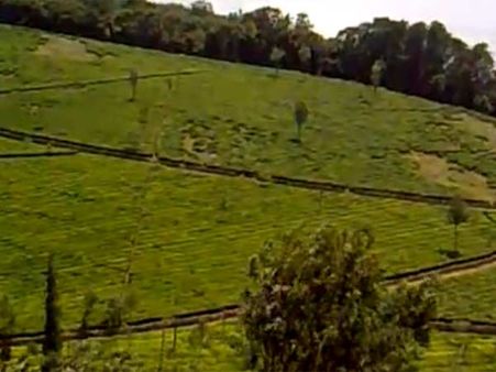 கொடநாடு எஸ்டேட் மூடப்பட்டது... போயஸ், சிறுதாவூர் பங்களாக்களுக்கு பாதுகாப்பு