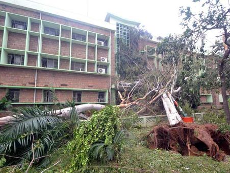 ஹுட்ஹுட்டால் உருக்குலைந்த ஆந்திரா