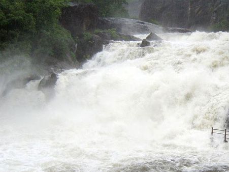 குற்றாலத்தில் பலத்த மழை.. அருவிகளில் குளிக்கத் தடை