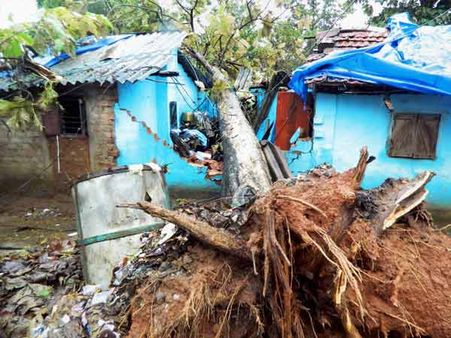 'ஐ லவ் ஹூட்ஹூட்': ஃபேஸ்புக்கில் கமெண்ட் போட்ட ஆந்திர சட்டக்கல்லூரி மாணவர் கைது