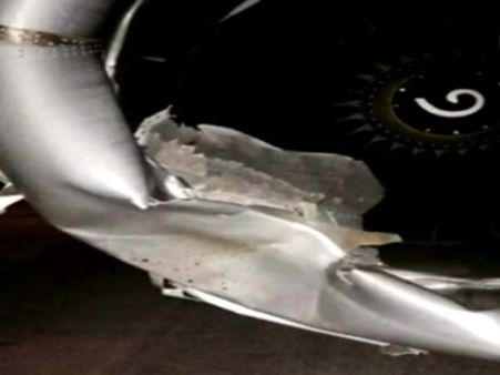 'எமனின் வாகனம்' மீது மோதிய ஸ்பைஸ் ஜெட் விமானம்: பயணிகள் தப்பினர்