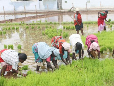 கரூர் விவசாயிகள் ஜாலி.... மழையால் நிலத்தடி நீர் உயர்வு.. கிணற்றுப் பாசனம் மூலம் சாகுபடியில் தீவிரம்!