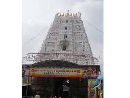 திருச்சானூர் பத்மாவதி தாயார் பிரம்மோற்சவம் கோலாகலமாக தொடங்கியது