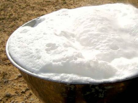 ஆட்டிசம் நோய்க்கு மருந்தாகும் ஒட்டகப்பால்