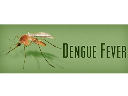 நெல்லை: டெங்கு காய்ச்சலுக்கு 7 மாதக் கைகுழந்தை பலி – 10 பேர் மருத்துவமனையில்!