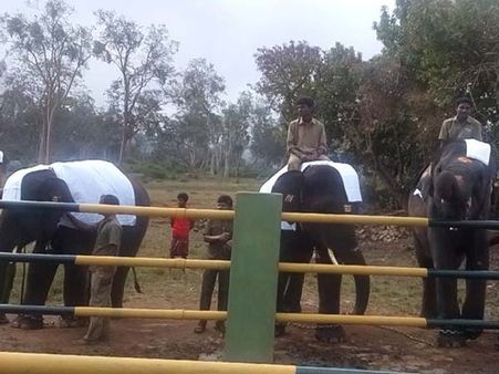 யானைகள் புத்துணர்வு முகாம்: ஸ்ரீ ரங்கம் ஆண்டாளுக்கு முதல்மரியாதை!