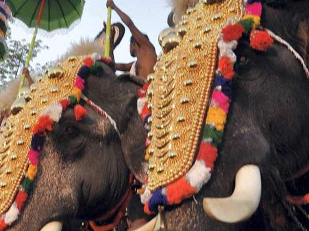 யானை சவாரி செய்த மாணவர் மின்சாரம் தாக்கி பரிதாப பலி... கேரளாவில்!