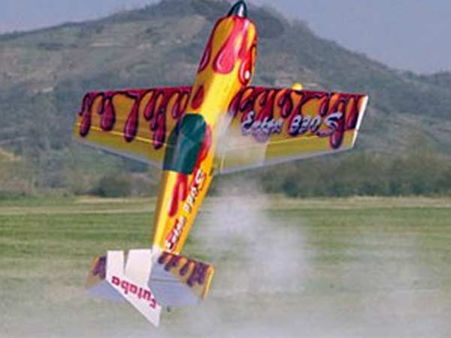 முத்துபேட்டை போலீசை கலங்கடித்த “பொம்மை” விமானம்- செம்படவன் காட்டில் விழுந்ததால் பரபரப்பு