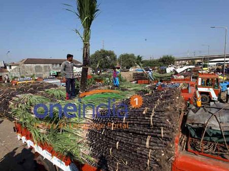 களை கட்டும் தலை பொங்கல்- சீர்வரிசை வாங்க நெல்லை சந்தையில் செம கூட்டம்!