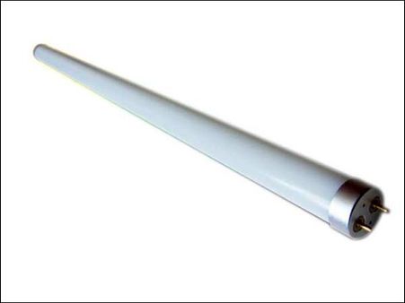 மதுரை முனிச்சாலையை பீதிக்குள்ளாக்கிய 