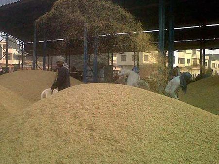 திருவாரூரில் 428 நேரடி நெல் கொள்முதல் நிலையங்கள்- வாணிபக்கழகம் அறிவிப்பு