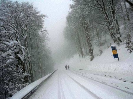 அமெரிக்காவைப் புரட்டிப் போட்ட 'ஜூனோ'.. 3 அடி அளவுக்கு ஐஸ் கட்டிகள்... எங்கு பார்த்தாலும் வெள்ளம்!